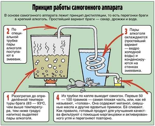 Как сделать аппарат